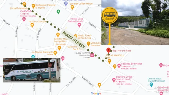 Flor de Valle Cooperative bus stop in Mindo