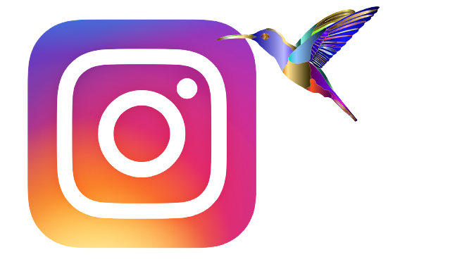 logo instagram